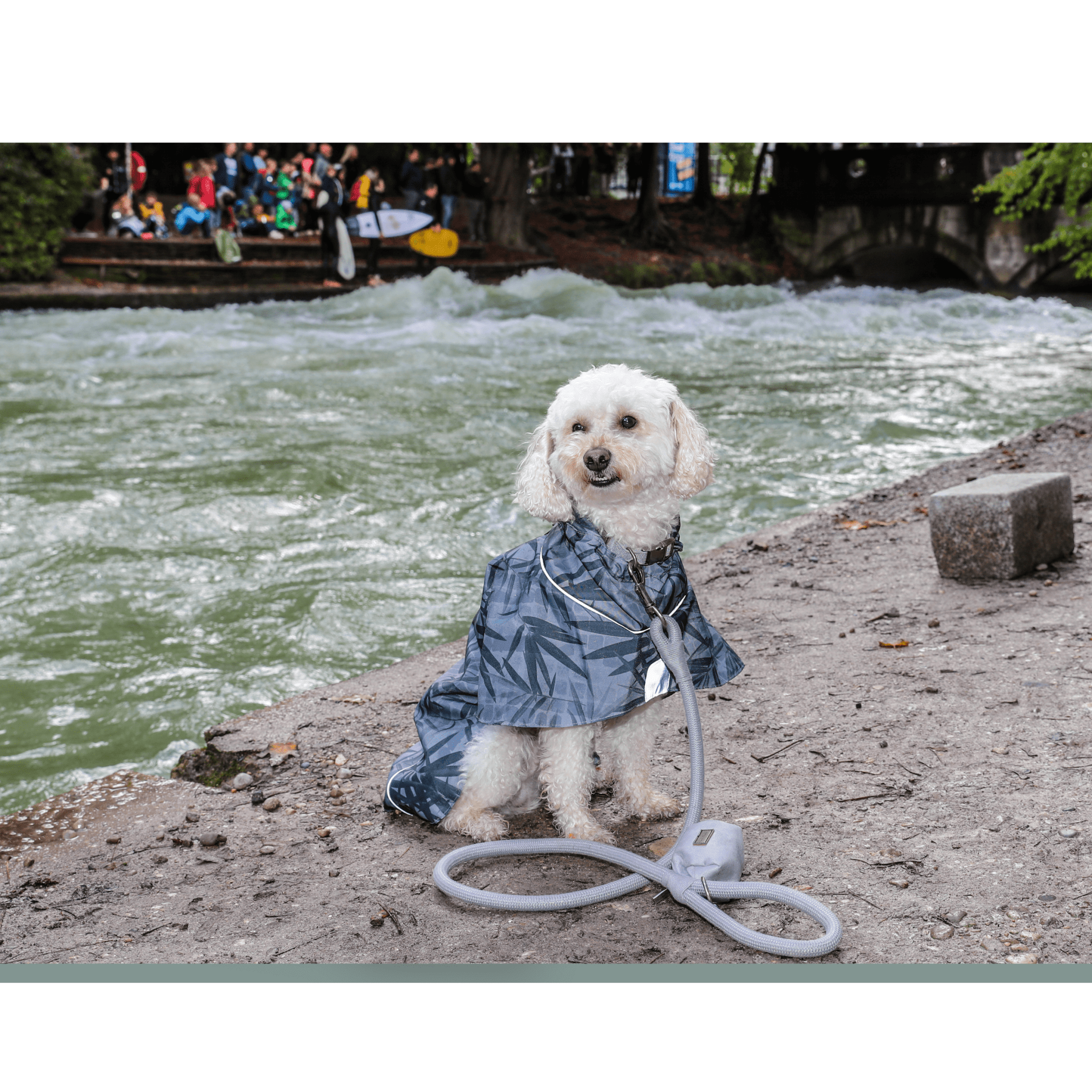 Dog Raincoat Minneapolis "Ilse"