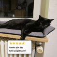 Load image into Gallery viewer, Cat Window Chiller San Francisco "Dark Grey"
