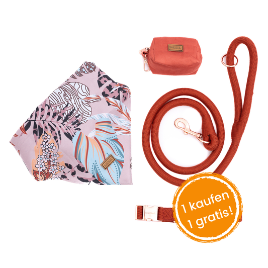 4pcs Leash Santa Fe "Erdem"