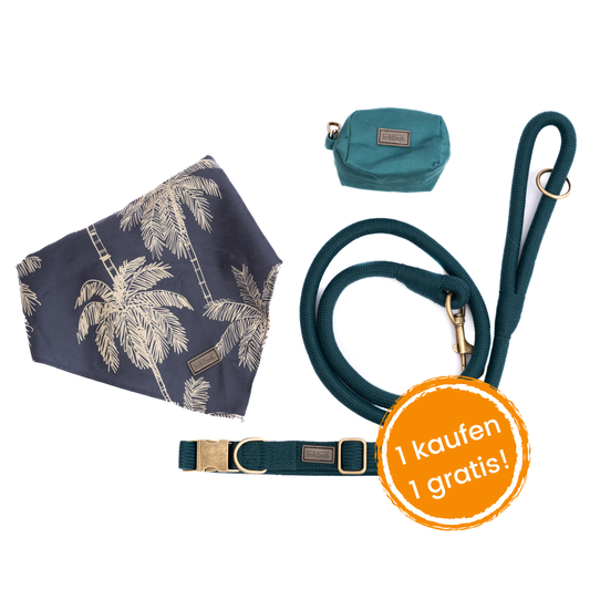 4pcs Leash Santa Fe "Romy"