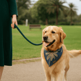 Load image into Gallery viewer, 4pcs Leash Santa Fe "Romy"
