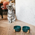 Load image into Gallery viewer, Cat Food Bowl Tucson "Dark Green"
