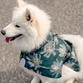 Load image into Gallery viewer, Dog Raincoat Minneapolis "Romy"
