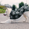 Load image into Gallery viewer, Dog Raincoat Minneapolis "Romy"
