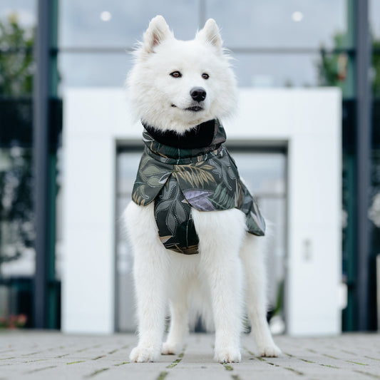 Dog Wintercoat Seattle "Max"
