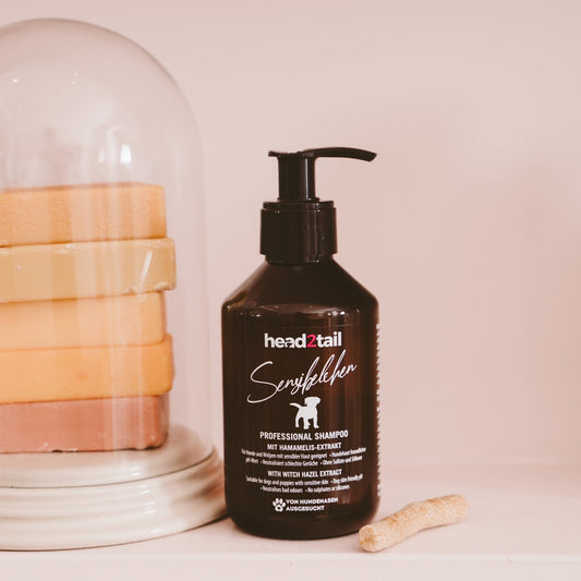 Shampoo Glanz und Gloria