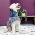 Load image into Gallery viewer, Dog Raincoat Minneapolis "Matthias"
