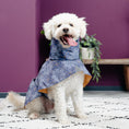 Load image into Gallery viewer, Dog Raincoat Minneapolis "Matthias"
